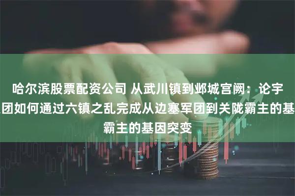 哈尔滨股票配资公司 从武川镇到邺城宫阙：论宇文泰集团如何通过六镇之乱完成从边塞军团到关陇霸主的基因突变